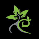 Logo Perusahaan CV Natural Care