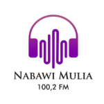 Logo Perusahaan Radio Nabawi Mulia - Lowongan Penyiar Radio / Staff Kreasi